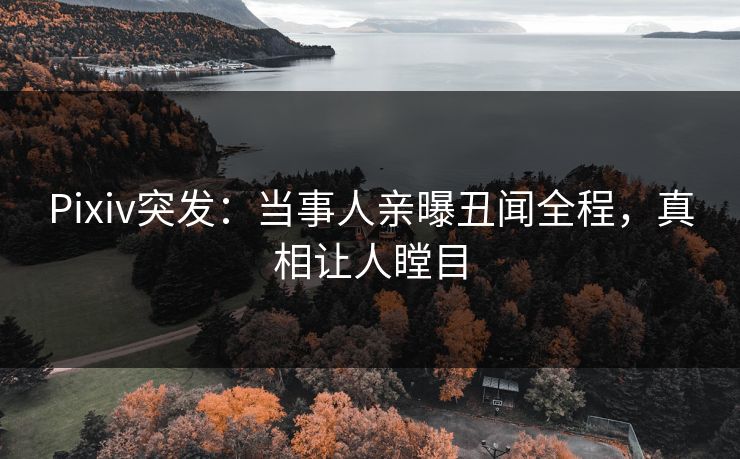 Pixiv突发：当事人亲曝丑闻全程，真相让人瞠目