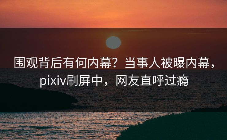 围观背后有何内幕？当事人被曝内幕，pixiv刷屏中，网友直呼过瘾