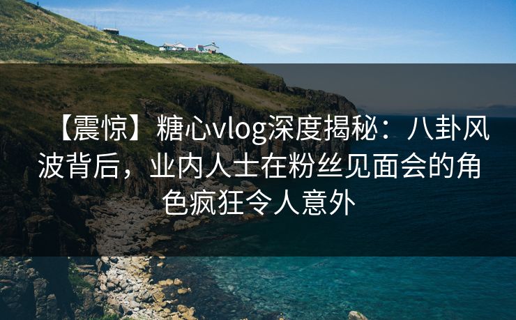 【震惊】糖心vlog深度揭秘：八卦风波背后，业内人士在粉丝见面会的角色疯狂令人意外