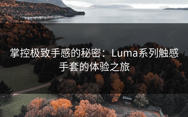 掌控极致手感的秘密：Luma系列触感手套的体验之旅