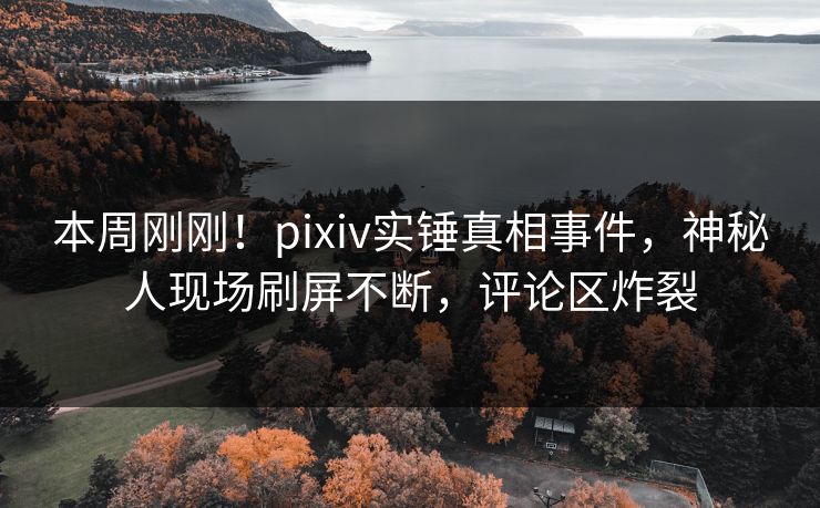 本周刚刚！pixiv实锤真相事件，神秘人现场刷屏不断，评论区炸裂