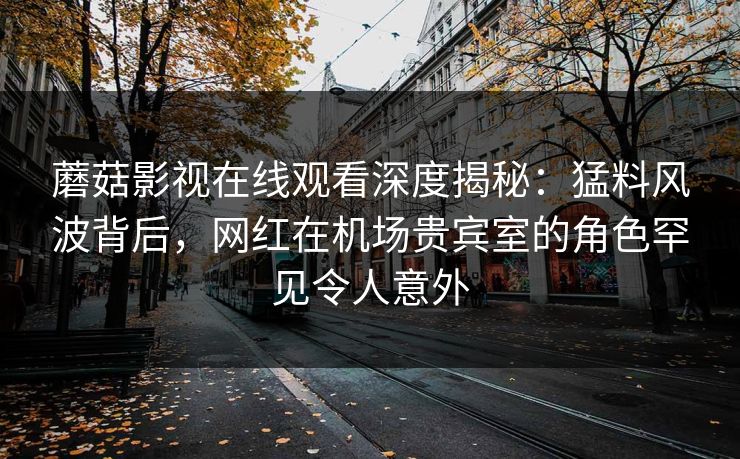 蘑菇影视在线观看深度揭秘：猛料风波背后，网红在机场贵宾室的角色罕见令人意外